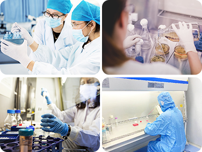 严谨的细胞培养工艺