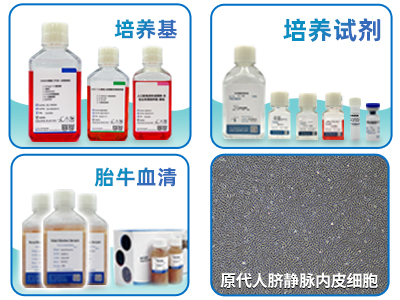 丰富的细胞产品系列